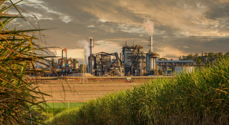 Sugar Supply from Brazil